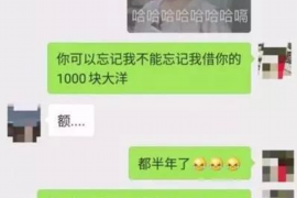 大悟专业催债公司的市场需求和前景分析